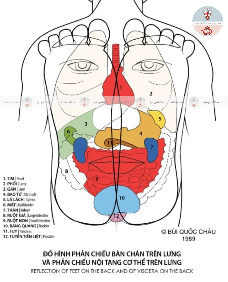 Cách chữa phì đại tuyến tiền liệt bằng Diện Chẩn tại nhà  Vương Bảo